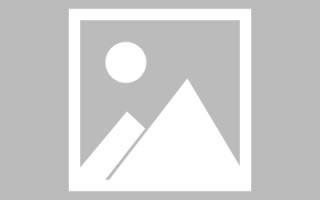 肥城网页设计师周记（网页设计周记26篇300字）