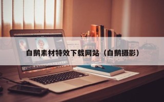 肥城白鹅素材特效下载网站（白鹅摄影）